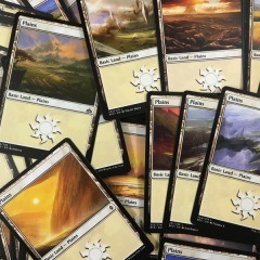 Magic: the Gathering 10 Assorted Basic Plains